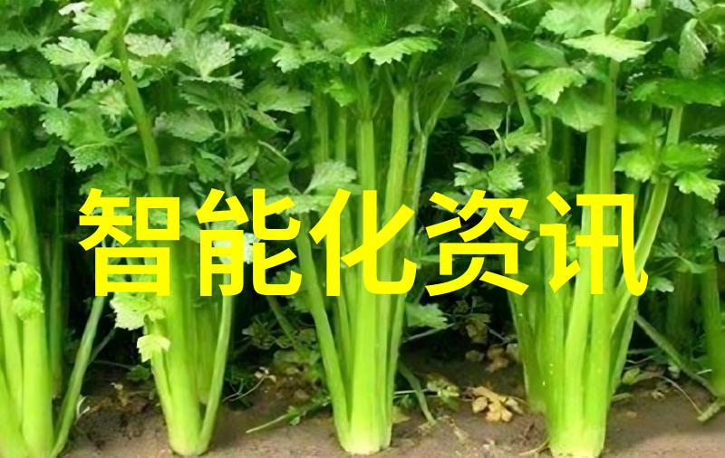 聚焦本科教育改革提升人才培养质量  上海財經大學 浙江學院