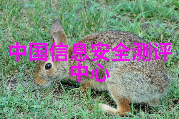 学霸生活秘密-我坐在学霸的鸡叭上面写作业背后的故事与智慧分享