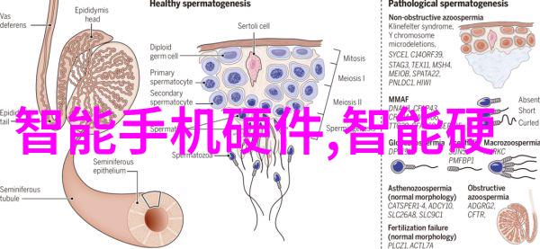 从事相关行业的人员会不会选择中央财经大学研究生院进行深造