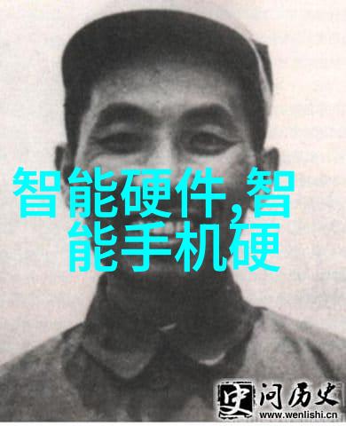 iPhone5s技术与用户体验的综合评估
