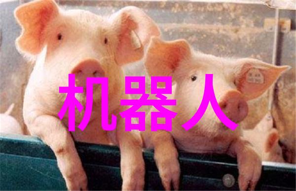 什么是关键技术点在开发新的高性能化工胶囊机器人中