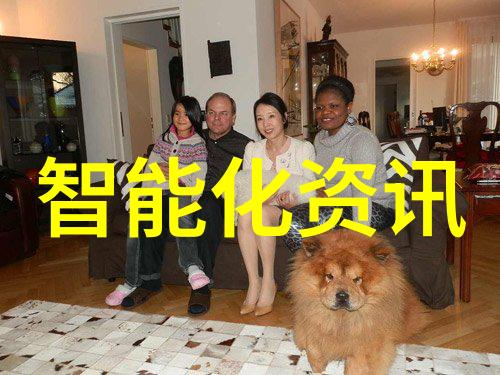 北京软件测评公司隐秘的代码与死亡之谜