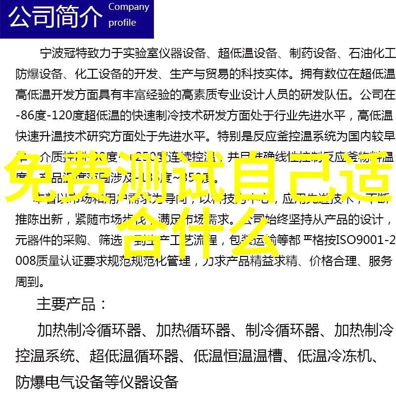 米界新篇章小米科技未来之光
