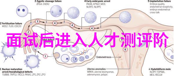 乱堆填料与规整填料特点土壤改良剂的应用差异