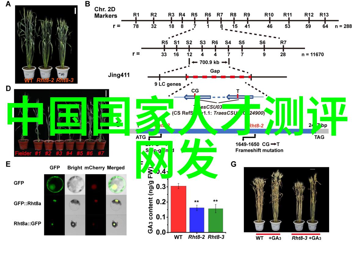 邯郸职业技术学院开启未来技能的窗口