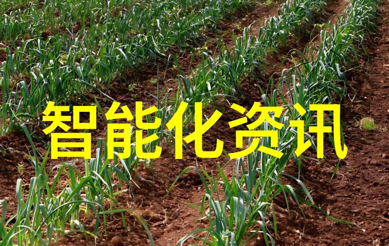 科技产业-武汉7nm光刻机的新主人谁将领航中国芯片革命