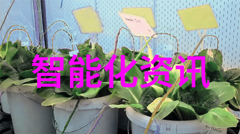 疫情之际的奇迹药物国产新冠特效药的革命性力量