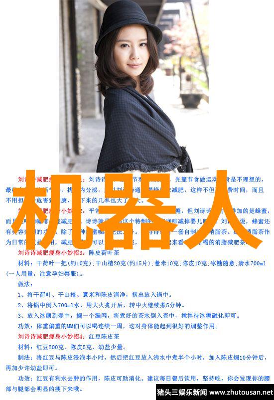 可以采取哪些策略来有效地展示项目的长期利益和短期成本