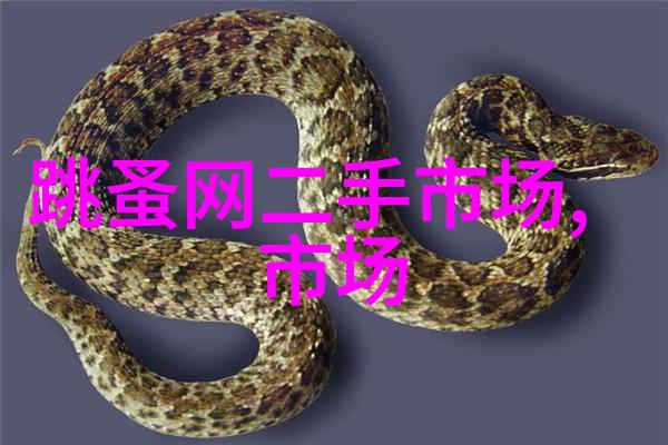 智能健康管理未来可穿戴设备的无限可能