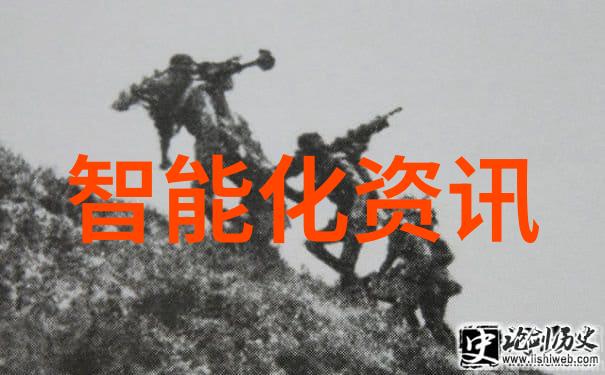 如何平衡个体自由选择与公共利益在智能输送政策中