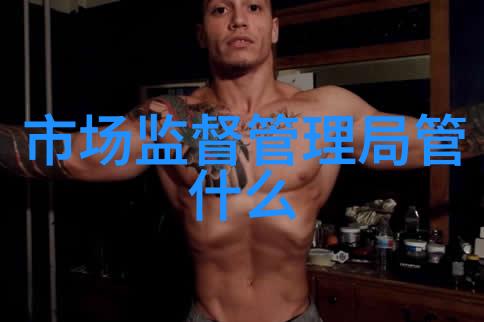 半年之旅工作篇章