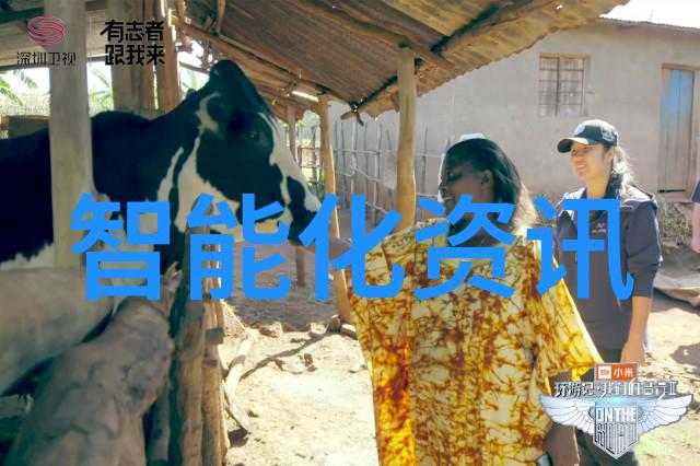 金属市场动态剖析五金材料最新价格变动