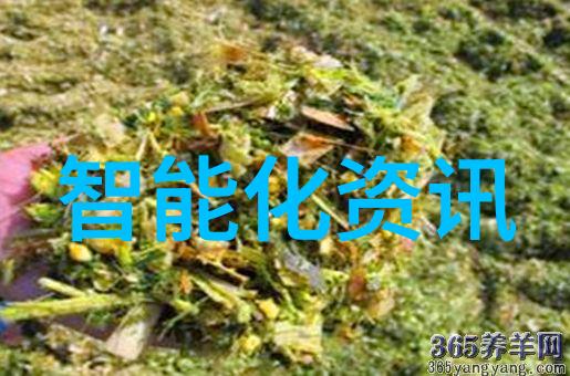穿戴时尚的无限可能探索衣物配饰与珠宝的世界