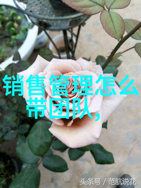 广西国际商务职业技术学院培养未来商贸领袖的摇篮
