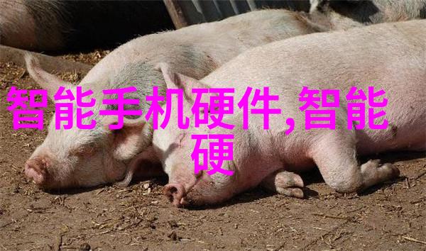 芯片的秘密生活从计算机的心脏到电子宠物的智能助手