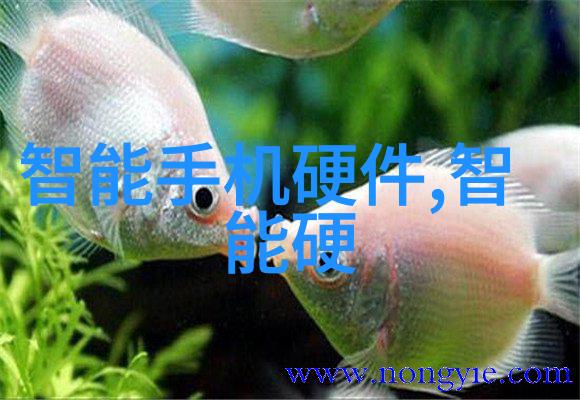 对海外留学生来说云南财经大学提供了哪些特别服务和支持