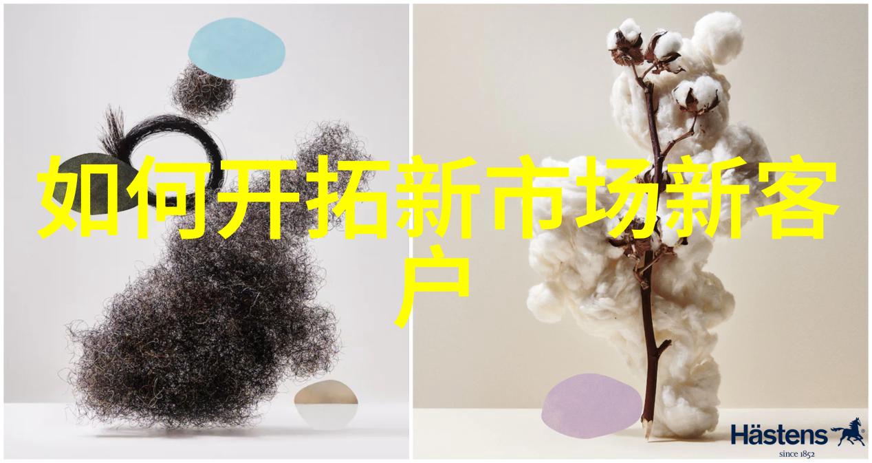 从废墟中崛起逆袭企业的申请报告