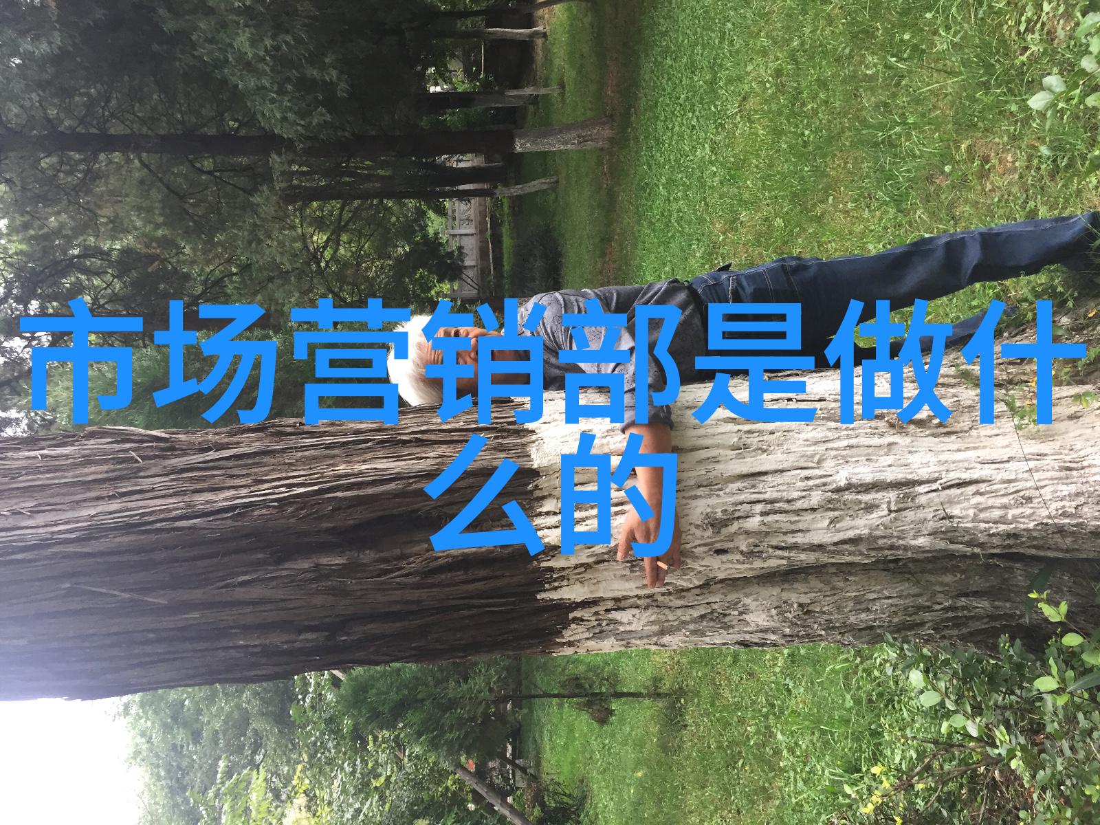 天津智能交通信息网我在这里教你如何用智慧小能手一词来表达你的日常出行体验