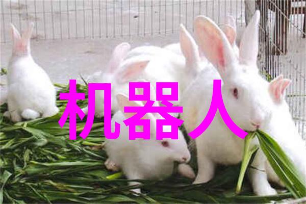 实验室设备厂商-高精度仪器制造实验室设备厂商的技术挑战与创新实践