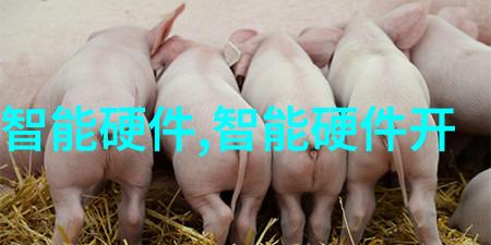 智能化机器视觉系统高效图像识别与分析技术