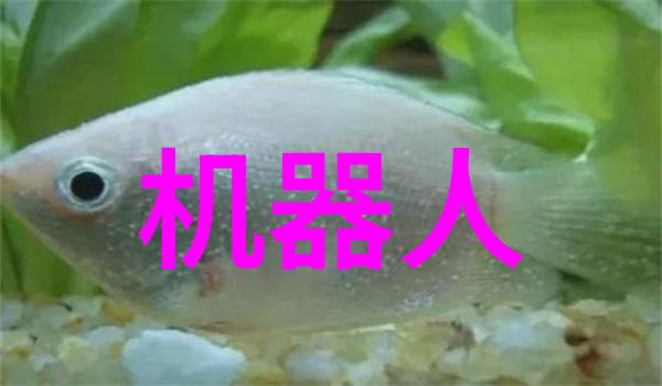 武汉职业技术学院我在武汉职技的日子从学徒到技能大师