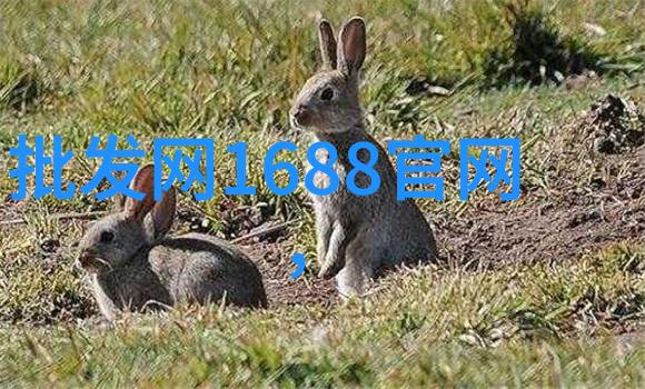 智能科技助力学会发展探索未来之路