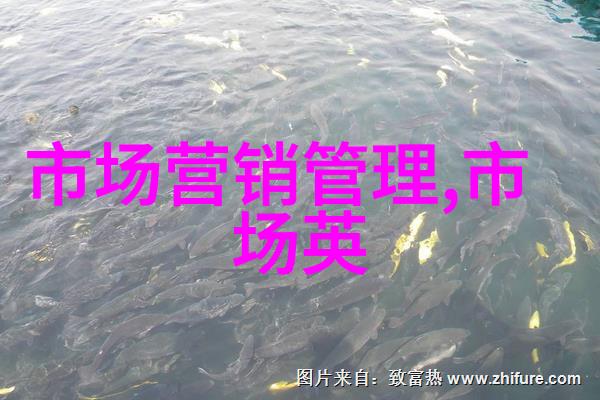 小商品批发市场聚焦供应链的生动画面