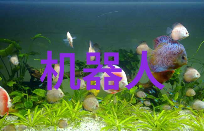 我们应该如何以数据支持来证明自己的绩效和贡献呢这该怎么操作