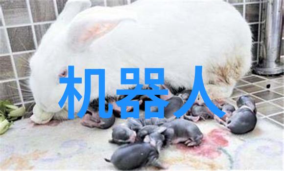 剖解未来屠宰设备的无声革命