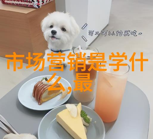 山东财经大学东方学院我在这里找到了未来的指南针