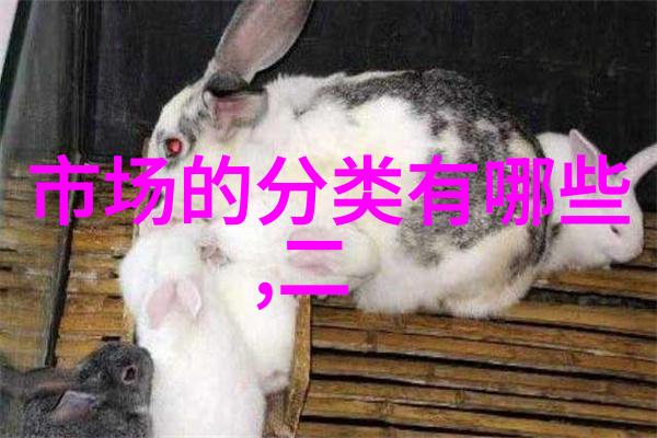 封口胶生产设备-高效制膜探索现代食品包装行业的新纪元