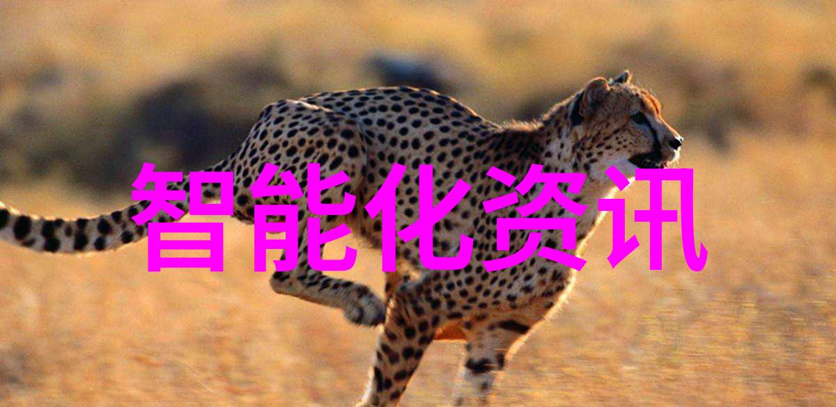 震撼来袭锤子新品发布会背后的秘密何时揭晓
