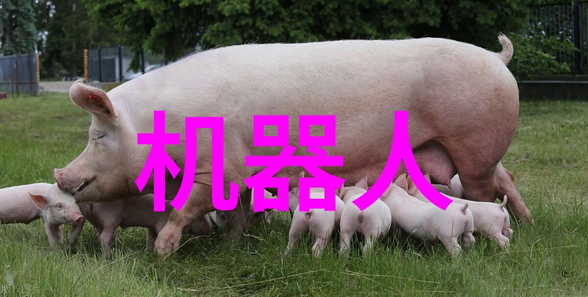 跳蚤市场背后的文化经济现象分析