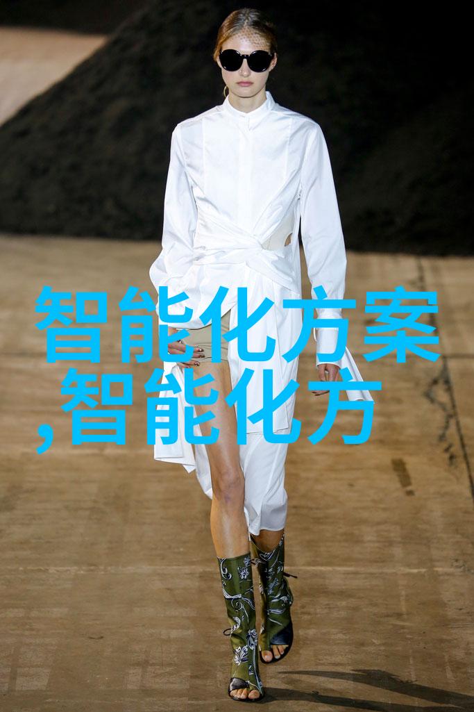 黑色资源的精选器煤炭分选机的运作与重要性