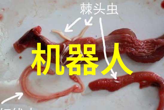 漯河职业技术学院 - 新时代工匠培养基地深度探究漯河职业技术学院的教育特色与发展前景