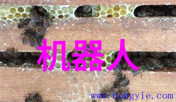 提升人才效能深度探究现代胜任力测评方法与实践应用