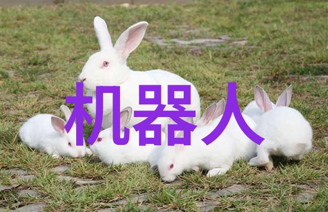 货车交换二手市场的轮廓与色彩