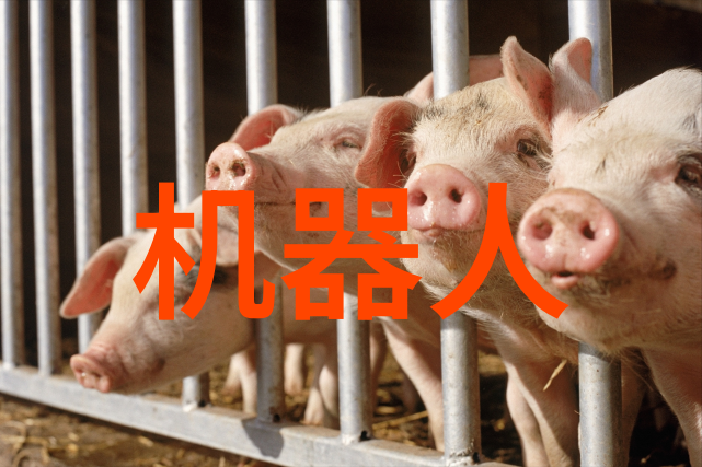 开题报告编写指南如何系统地撰写出色开题文档