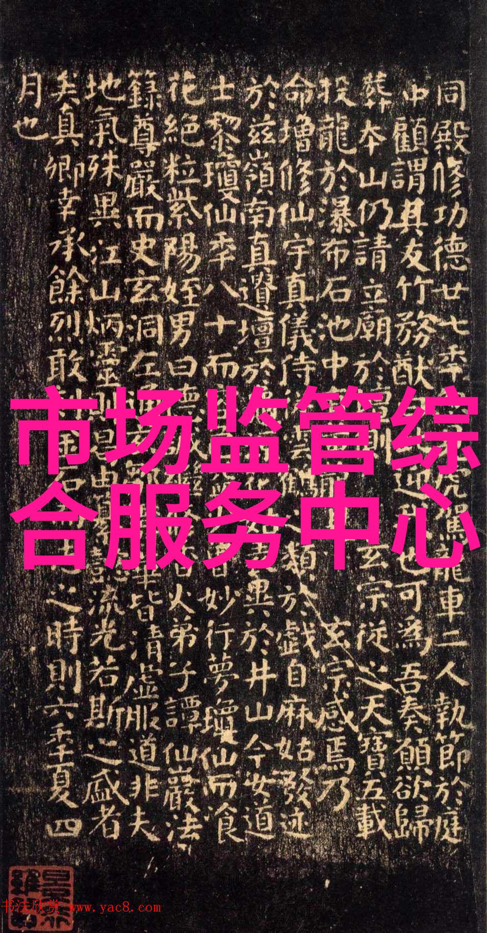 北京市公安局关于加强信息安全等级保护措施的专项检查与评估