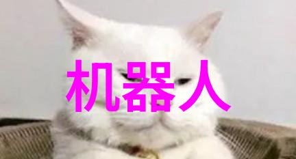 化学探索器反应釜中的奇迹与挑战