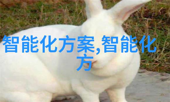 士官个人述职报告范文-忠诚履职效能卓著的职业生涯回顾