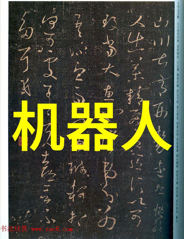 代码之城北京软件测评公司的数字风暴