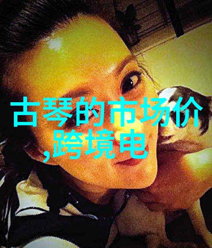 财经类大学排名揭秘我国最受欢迎的经济学院排行榜