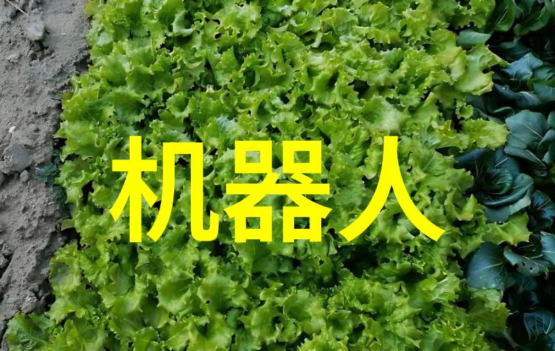 输送机械设备-高效运输解决方案揭秘输送机械设备的奥秘