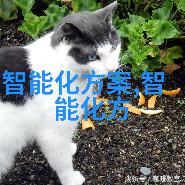 中国顶尖财经大学排名全球金融学科实力强劲
