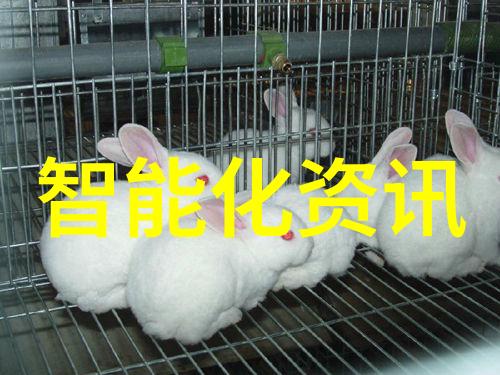 制造信息系统的未来能否实现无缝集成与实时决策