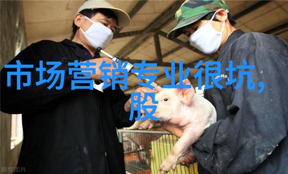 编程语言与软件工程未来技术的基石