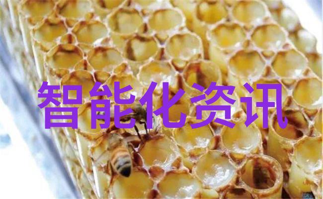 河南省职业技术教育的新亮点漯河职院的发展历程与成就展望