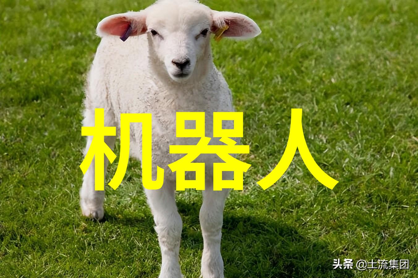 职场通行证探索市场营销的就业魅力