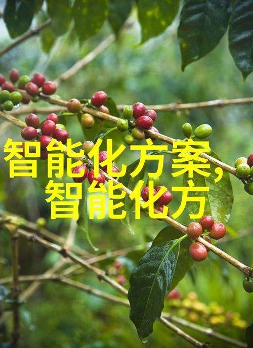 高压监狱中的星光揭秘满天星视频背后的故事